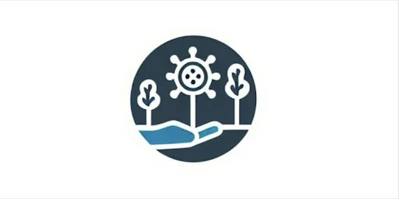 Decarbonization